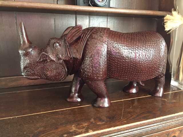 Rhino1 3